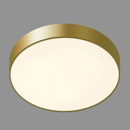ITALUX - Стельовий LED світильник ORBITAL LED/30W/230V 3000K золотий