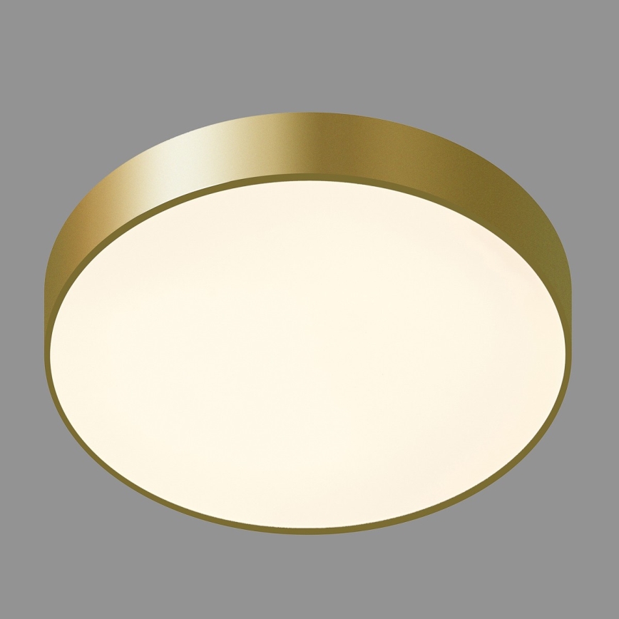 ITALUX - Стельовий LED світильник ORBITAL LED/30W/230V 3000K золотий