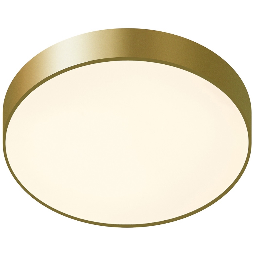 ITALUX - Стельовий LED світильник ORBITAL LED/30W/230V 3000K золотий