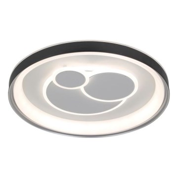 ITALUX - диммируемый светодиодный потолочный светильник FLORINA LED/46W/230V 3000/4000/6500K диаметр 49 см чёрный + пульт дистанционного управления