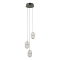 ITALUX - LED-люстра на тросе ALANI 3xLED/5W/230V 3000K черный/золотой