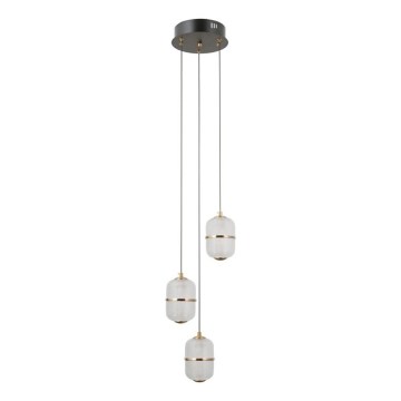 ITALUX - LED-люстра на тросе ALANI 3xLED/5W/230V 3000K черный/золотой