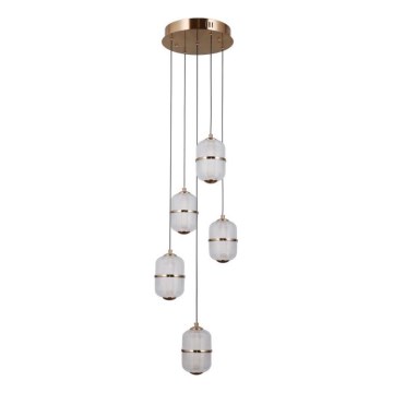ITALUX - LED-люстра на тросе ALANI 5xLED/5,6W/230V 3000K золотая