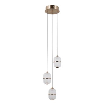 ITALUX - LED-люстра на тросі ALANI 3xLED/5W/230V 3000K золота