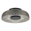 ITALUX - LED стельовий світильник PASSO LED/8 Вт/230 В 3000 К діам. 25 см димчасто-чорний