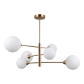 ITALUX - Люстра на стрижні EVORA 6xG9/5W/230V латунь