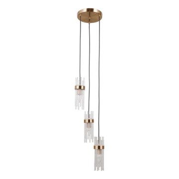 ITALUX - Люстра на тросе TARASO 3xE14/40W/230V золотая