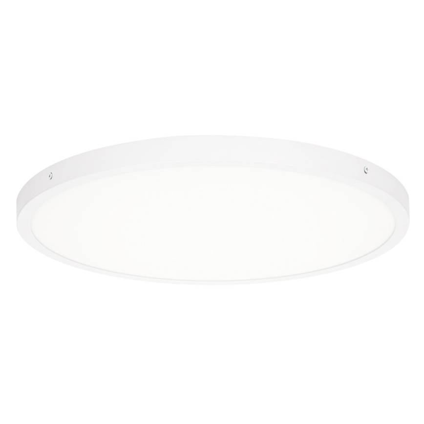 ITALUX - Светодиодный потолочный светильник PELARO LED/36W/230V 4000K диаметр 50 см белый