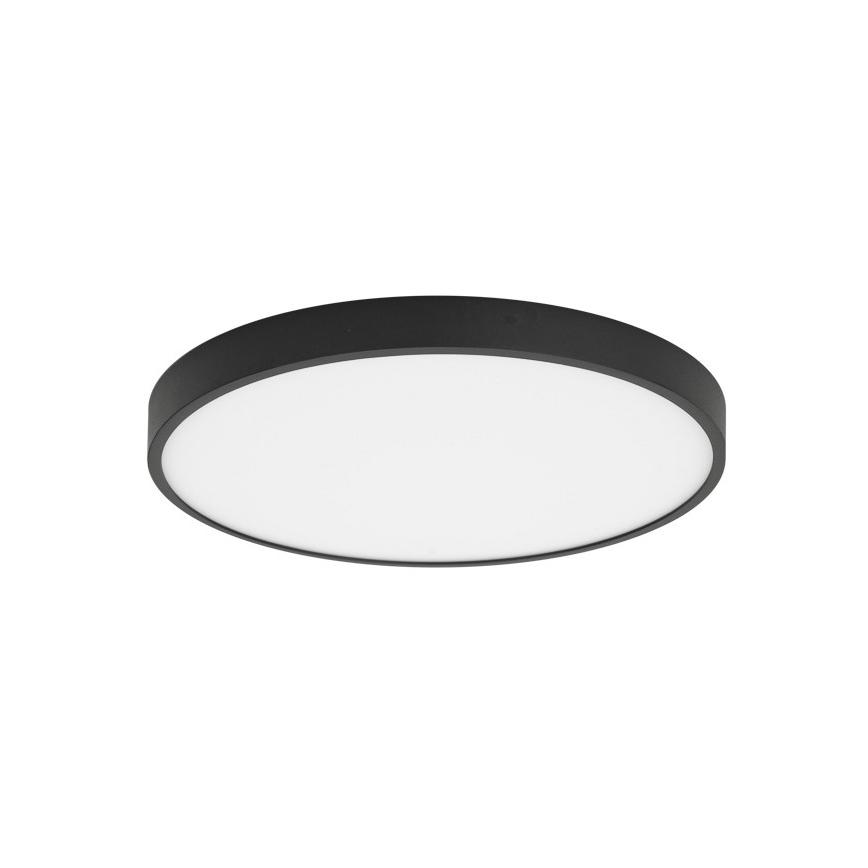 ITALUX - Светодиодный потолочный светильник RIBERIO LED/30W/230V 4000K черный