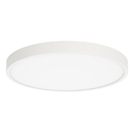ITALUX - Стельовий LED світильник RIBERIO LED/30W/230V 3000K білий