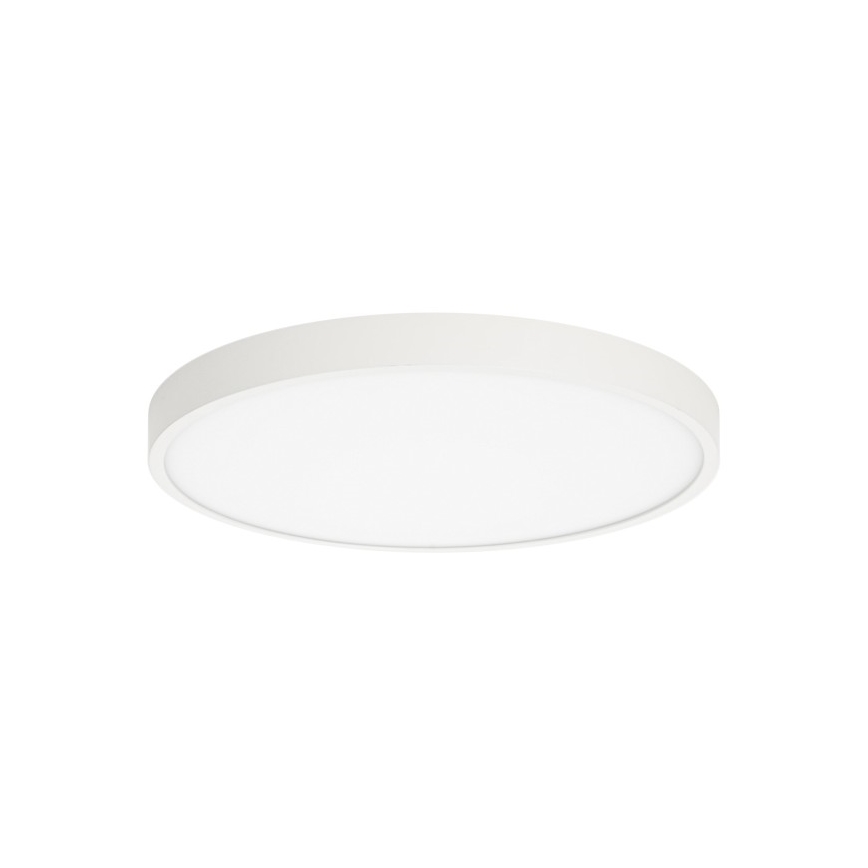 ITALUX - Стельовий LED світильник RIBERIO LED/30W/230V 3000K білий