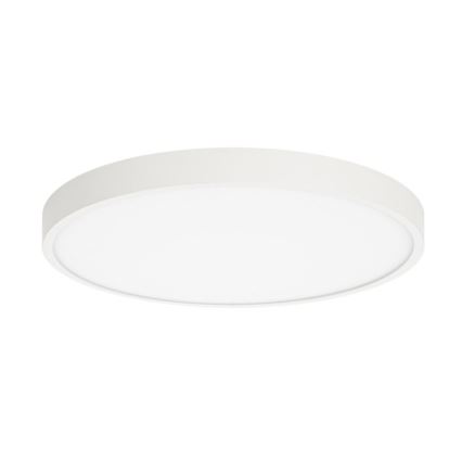 ITALUX - Светодиодный потолочный светильник RIBERIO LED/30W/230V 4000K белый