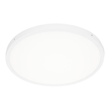 ITALUX - Стельовий LED світильник PELARO LED/36W/230V 4000K діаметр 50 см білий