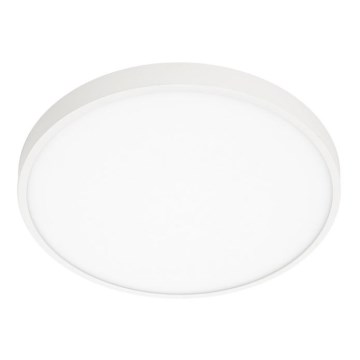 ITALUX - Стельовий LED світильник RIBERIO LED/30W/230V 3000K білий