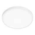 ITALUX - Стельовий LED світильник RIBERIO LED/30W/230V 4000K білий