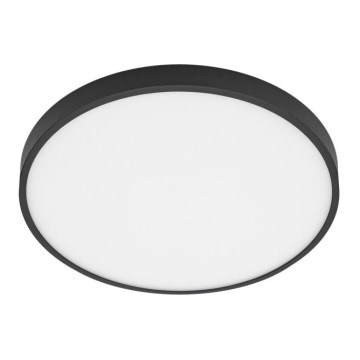 ITALUX - Стельовий LED світильник RIBERIO LED/30W/230V 4000K чорний