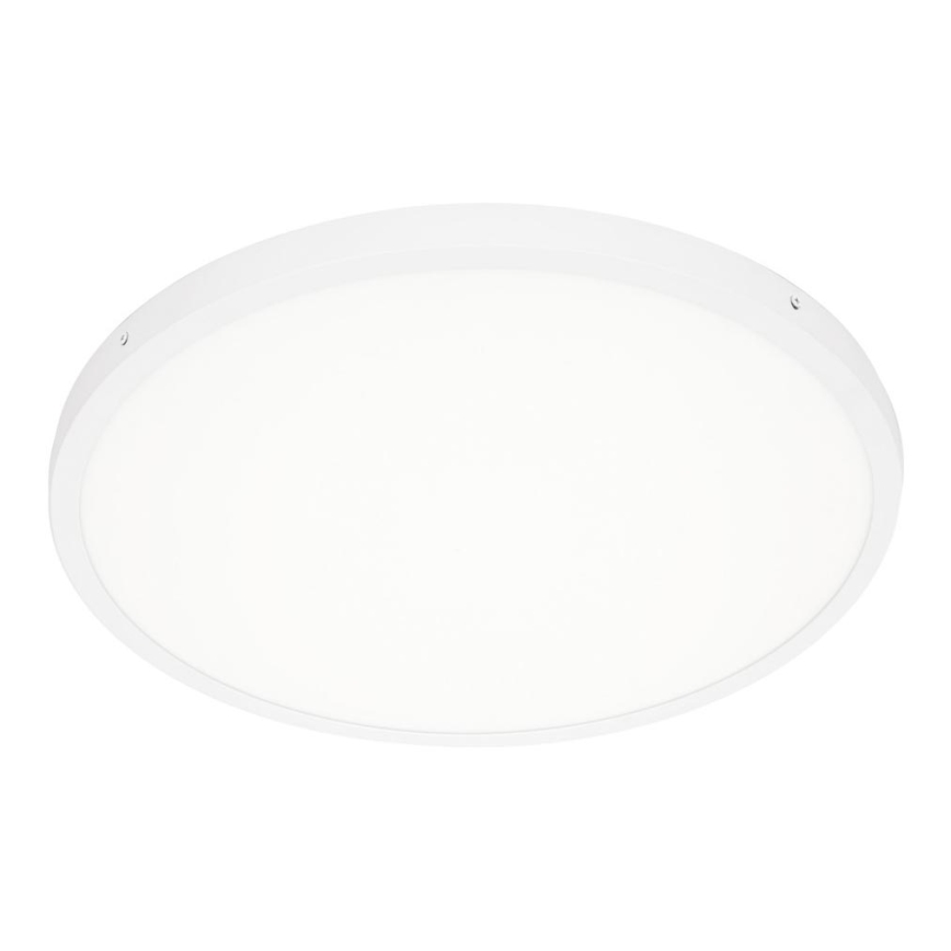 ITALUX - Светодиодный потолочный светильник PELARO LED/36W/230V 4000K диаметр 50 см белый