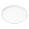 ITALUX - Светодиодный потолочный светильник RIBERIO LED/30W/230V 3000K белый
