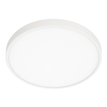 ITALUX - Светодиодный потолочный светильник RIBERIO LED/30W/230V 4000K белый