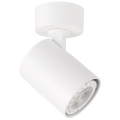 ITALUX - Точечный светильник LUMSI 1xGU10/35W/230V белый