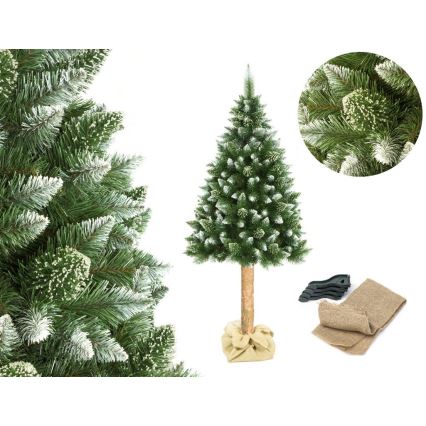 Ялинка на стовбурі 180 см сосна