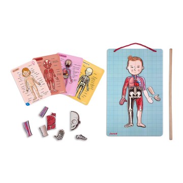 Janod - Магнитный пазл BODYMAGNET человеческое тело