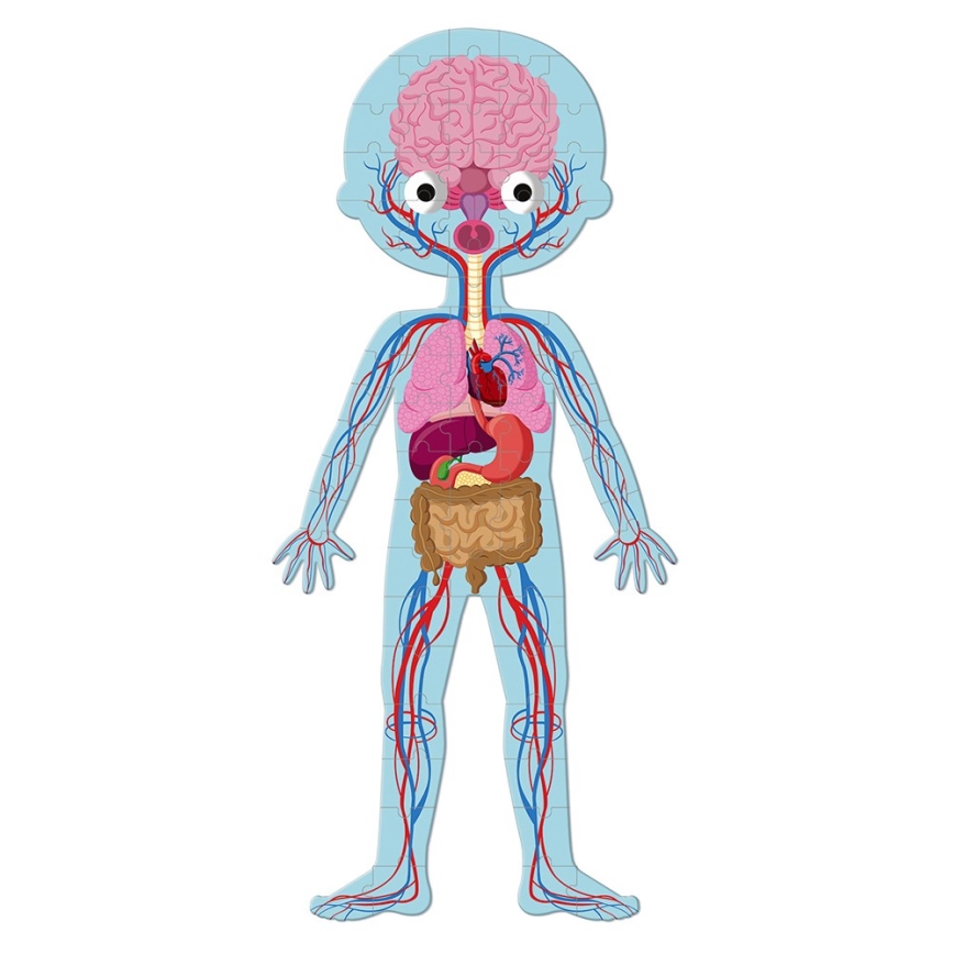 Janod - Детский обучающий пазл из 225 деталей Человеческое тело