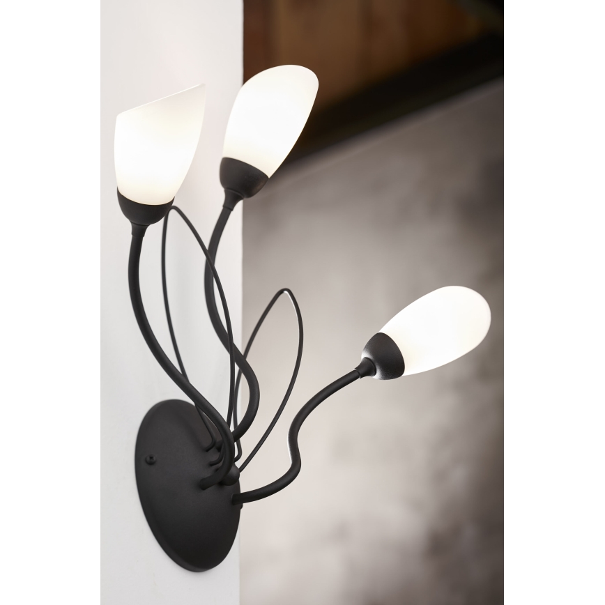 Jupiter 2059 - Настенный светильник GLORIOSA 3xG9/14W/230V черный