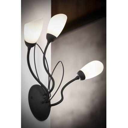 Jupiter 2059 - Настенный светильник GLORIOSA 3xG9/14W/230V черный