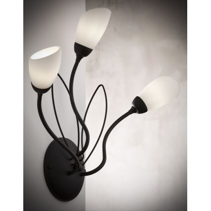 Jupiter 2059 - Настенный светильник GLORIOSA 3xG9/14W/230V черный