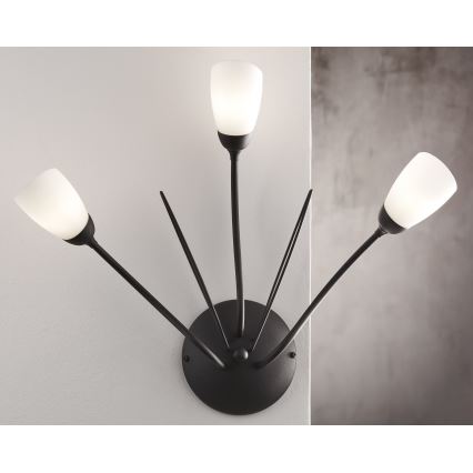 Jupiter 2059 - Настенный светильник GLORIOSA 3xG9/14W/230V черный