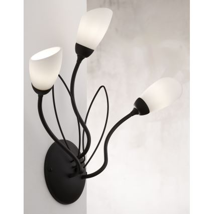 Jupiter 2059 - Настінний світильник GLORIOSA 3xG9/14W/230V чорний