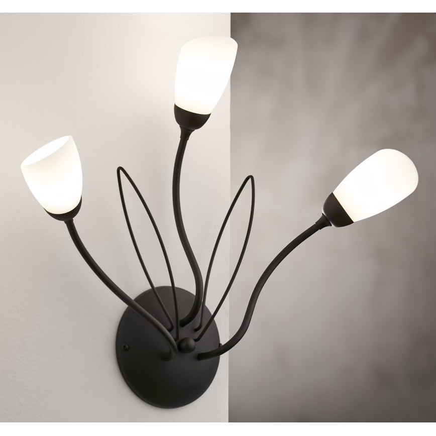 Jupiter 2059 - Настінний світильник GLORIOSA 3xG9/14W/230V чорний