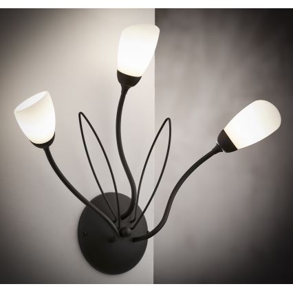 Jupiter 2059 - Настінний світильник GLORIOSA 3xG9/14W/230V чорний