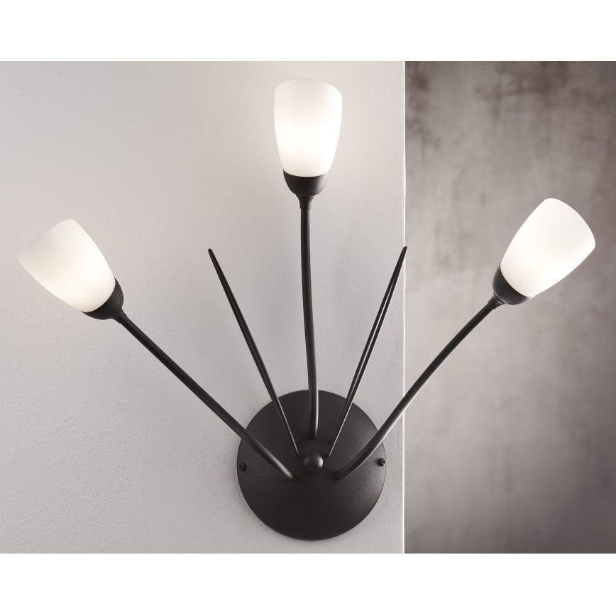 Jupiter 2059 - Настінний світильник GLORIOSA 3xG9/14W/230V чорний