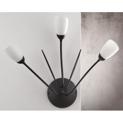 Jupiter 2059 - Настінний світильник GLORIOSA 3xG9/14W/230V чорний