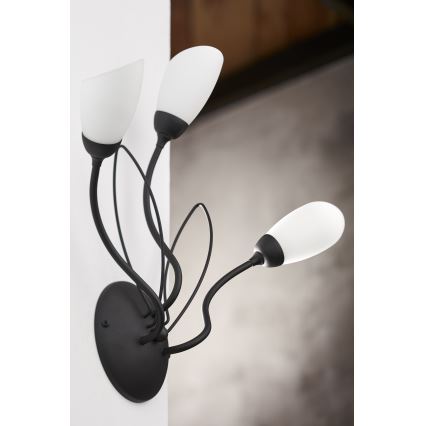 Jupiter 2059 - Настінний світильник GLORIOSA 3xG9/14W/230V чорний