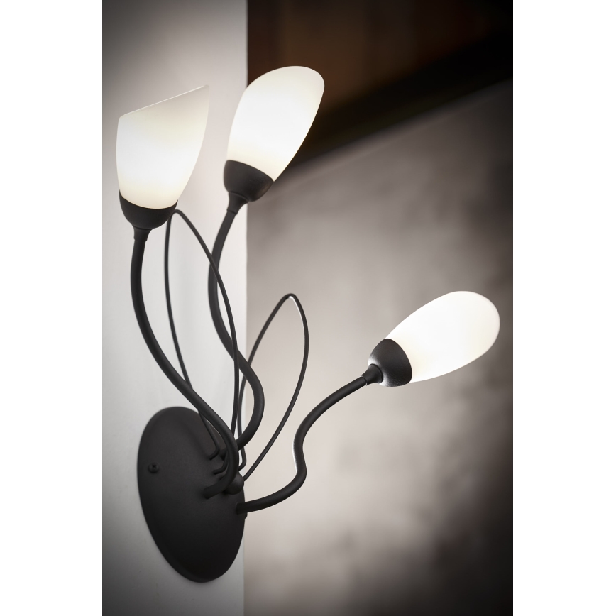 Jupiter 2059 - Настінний світильник GLORIOSA 3xG9/14W/230V чорний