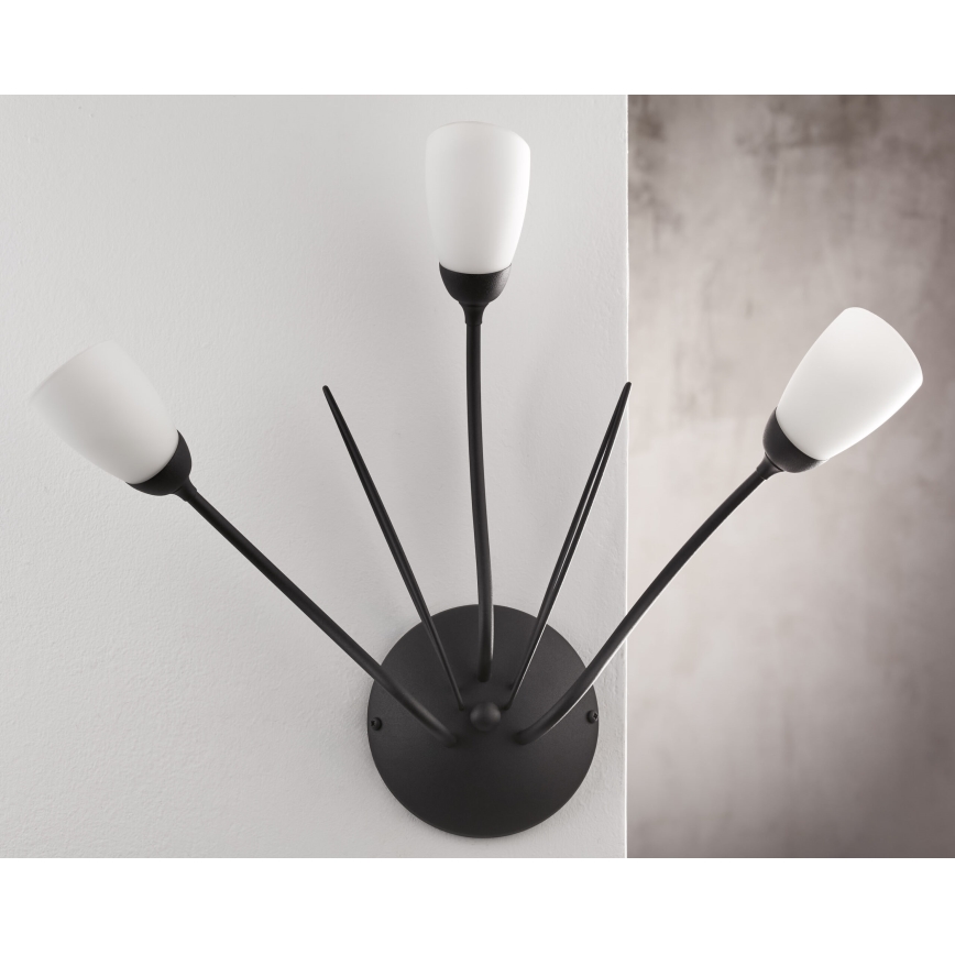 Jupiter 2059 - Настінний світильник GLORIOSA 3xG9/14W/230V чорний