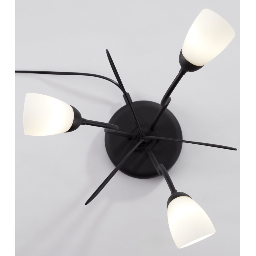 Jupiter 2065 - Настольная лампа GLORIOSA 3xG9/14W/230V чёрная