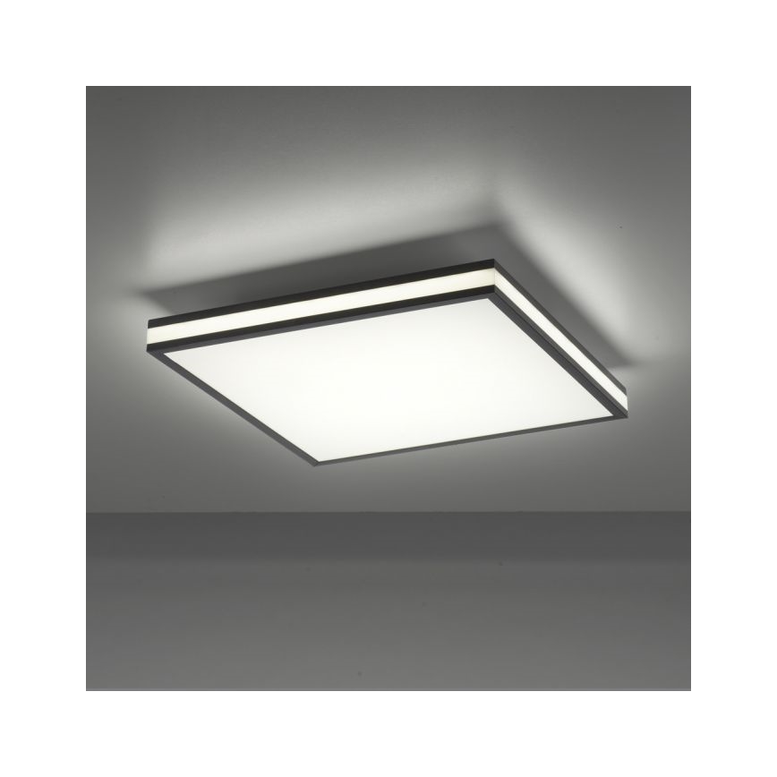 JUST LIGHT. 14110-18 - Светодиодный потолочный RGBW-светильник с регулированием яркости MARIO BLACK LED/19,5W/230V 2700-5000K + дистанционное управление
