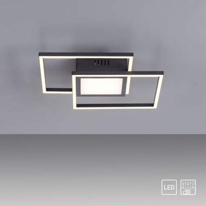 JUST LIGHT. 14144-18 - Стельовий LED світильник ASMIN LED/26W/230V