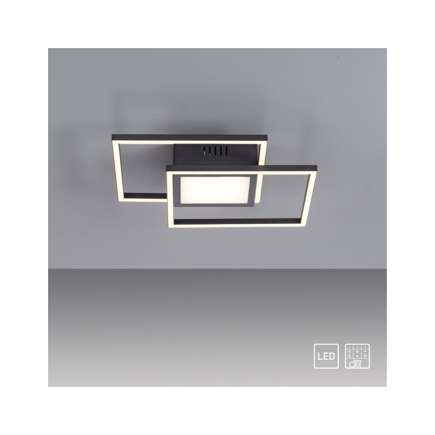 JUST LIGHT. 14144-18 - Стельовий LED світильник ASMIN LED/26W/230V