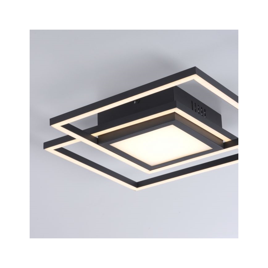 JUST LIGHT. 14144-18 - Стельовий LED світильник ASMIN LED/26W/230V