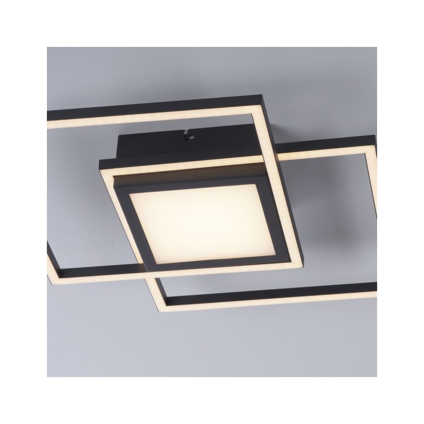 JUST LIGHT. 14144-18 - Стельовий LED світильник ASMIN LED/26W/230V
