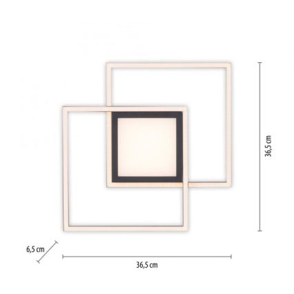 JUST LIGHT. 14144-18 - Стельовий LED світильник ASMIN LED/26W/230V