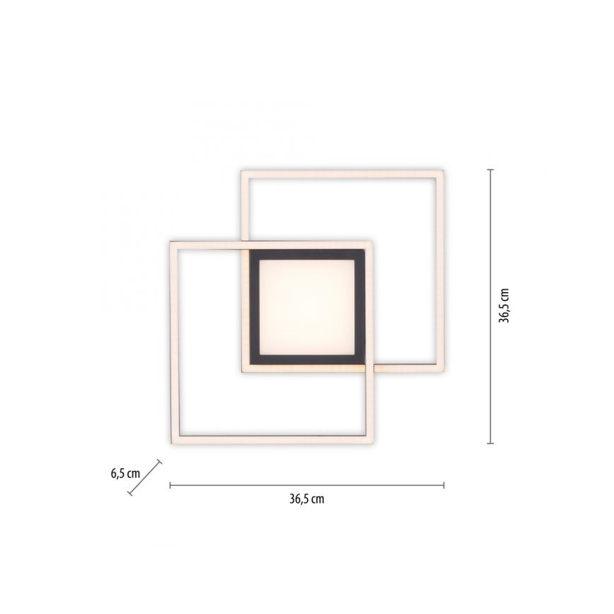JUST LIGHT. 14144-18 - Стельовий LED світильник ASMIN LED/26W/230V