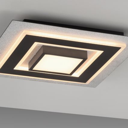 JUST LIGHT. 14439-21 - LED потолочный светильник CICHIO LED/18,5W/230V + LED/9W 40x40 cm черный