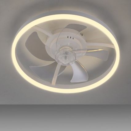 JUST LIGHT. 14624-16 - димований LED-стельовий вентилятор зі світлом RITA LED/22W/230V 3000-6000K, діаметр 50 см, білий + пульт дистанційного керування