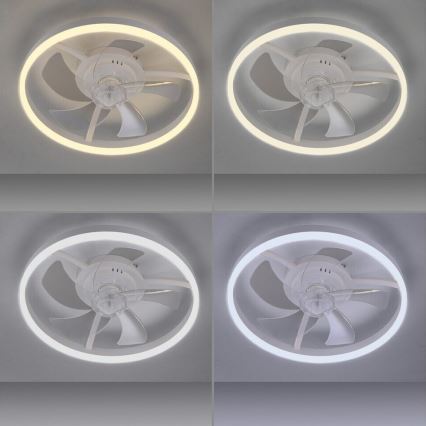 JUST LIGHT. 14624-16 - LED диммируемый потолочный вентилятор со светильником RITA LED/22W/230V 3000–6000K, диаметр 50 см, белый + пульт дистанционного управления